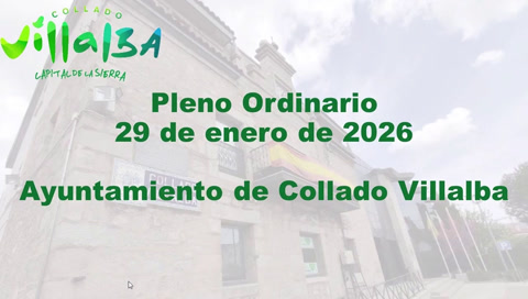 Pleno Ordinario 29.01.2026